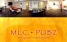 PUBZ Workshop — Writing support to prepare your thesis or dissertation