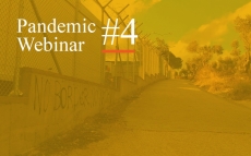 Pandemic Webinar #4: Diversity, Migration, and COVID-19