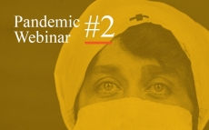 Pandemic Webinar #2: Cultural Resilience During COVID-19